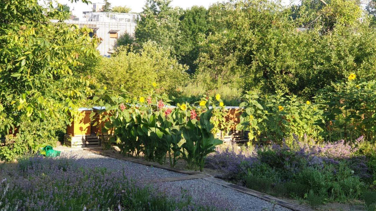 Agroturystyka U Joli Pacanow Bagian luar foto
